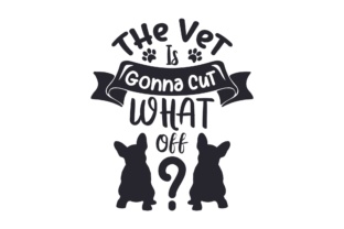 The Vet is Gonna Cut WHAT off Crafts Medical